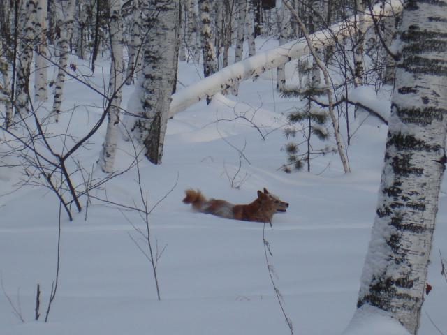 DSC07045.JPG